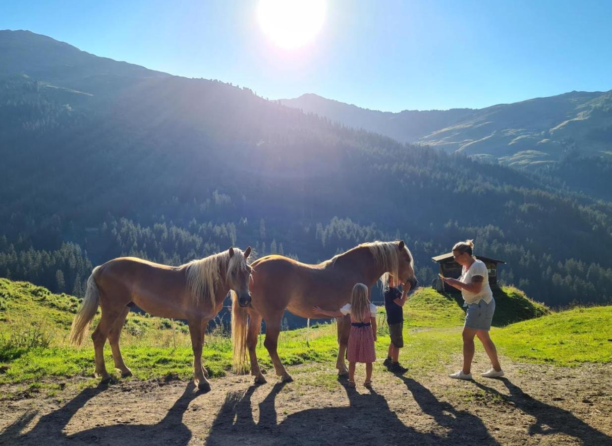 Brixnerhof Im Zillertal Hotel Schlitters Eksteriør billede