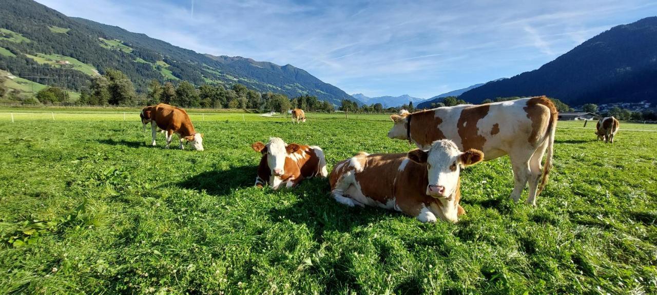 Brixnerhof Im Zillertal Hotel Schlitters Eksteriør billede