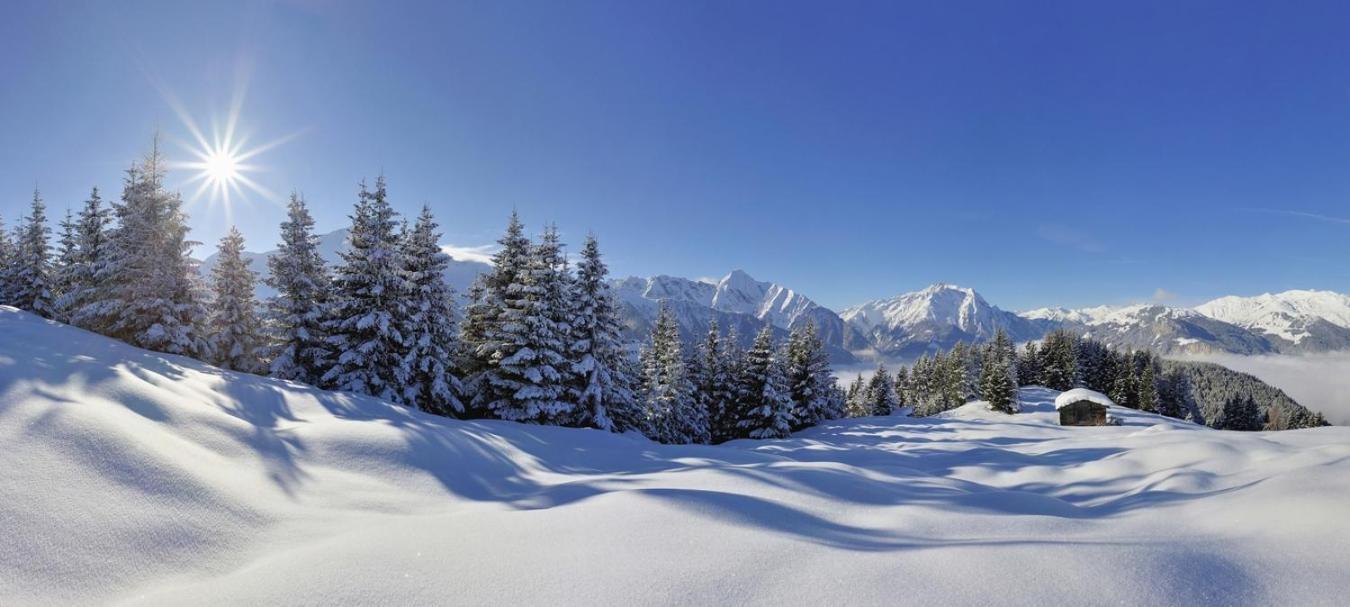 Brixnerhof Im Zillertal Hotel Schlitters Eksteriør billede